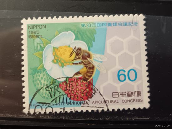 Япония, 1985. Международный конгресс пчеловодов