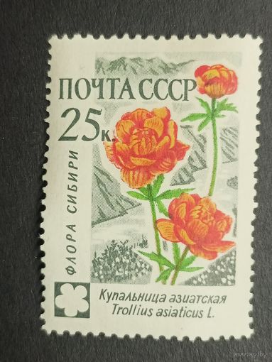 1960 СССР. Флора СССР. Цветы. Купальница азиатская