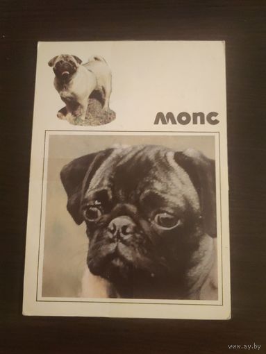 Открытка,собаки