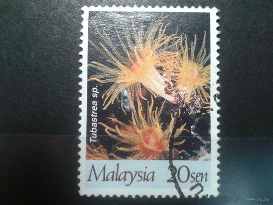 Малайзия, 1997. Кораллы. К-13 3/4:13 1/4