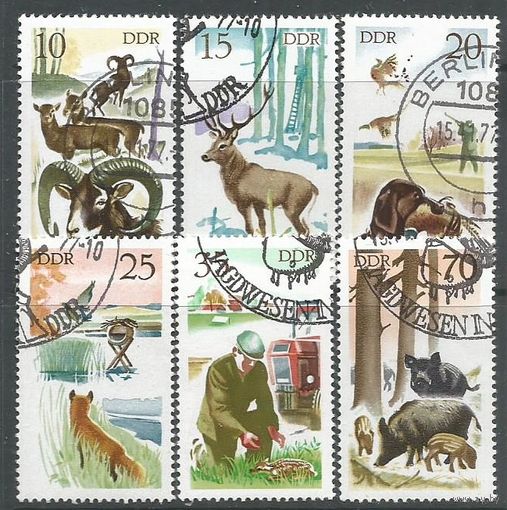 ГДР. Охотничьи животные. 1977г. Mi#2270-75. Серия с СГ.