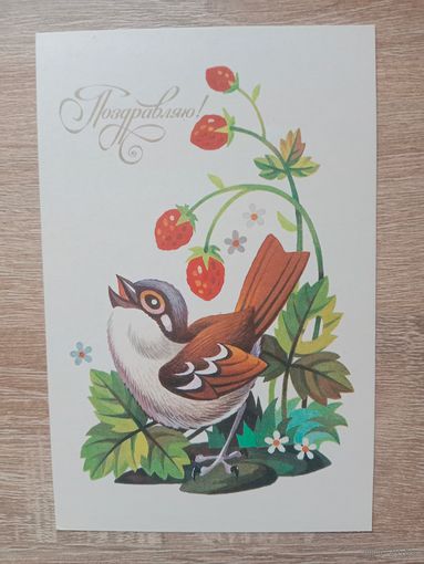 Пешехонов 1987 не подписана