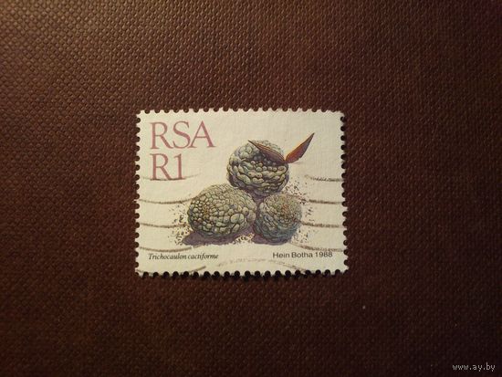 Южно-Африканская республика 1988 г.Суккуленты./45а/