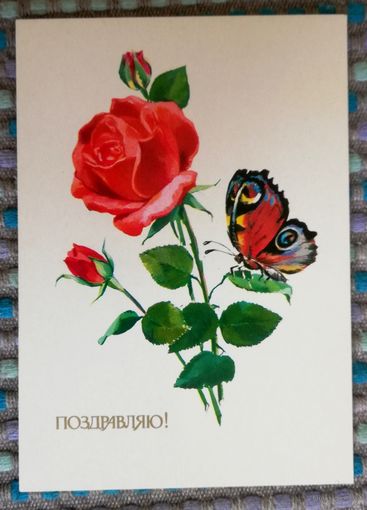 Открытка, чистая, худ. И. Фирсанова, 1985г.