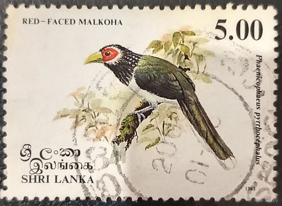 Шри Ланка 1993. Флора. Птицы. Red Faced Malckoha