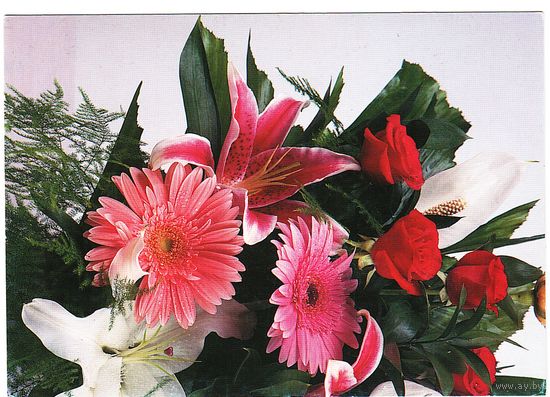 Беларусь. Почтовая карточка без в/д