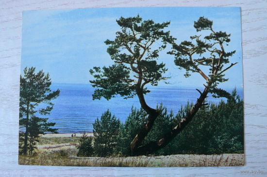 Прибалтика, Латвийская ССР, Побережье в Саулкрасты; чистая.