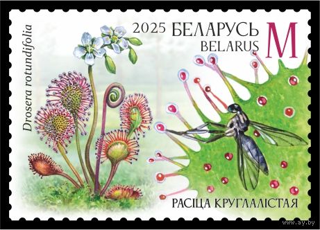 2025г Беларусь MNH  "Хищные растения"