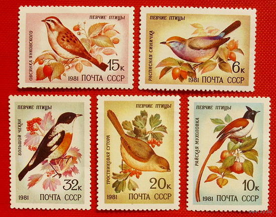 СССР. Певчие птицы. ( 5 марок ) 1981 года.