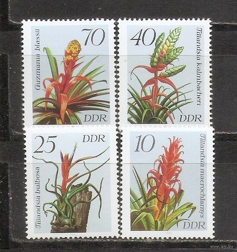 ФФ1 ГДР 1988 Соцветия