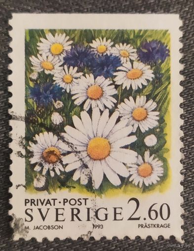 Швеция 1993, ромашки
