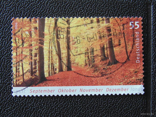 Германия 2006 г.