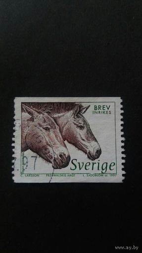 Швеция   1997