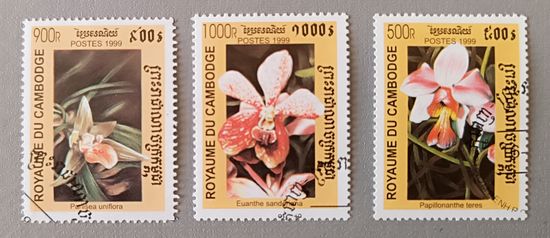 Орхидеи. Камбоджа,1999