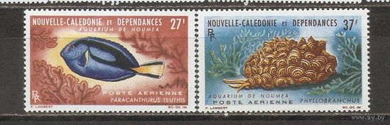 ФФ1 Новая Каледония 1964 Морские жители