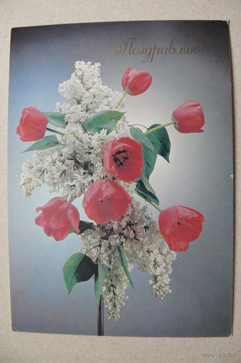 Киндрова Д., Поздравляю! 1989, подписана.