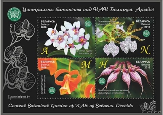Центральный ботанический сад НАН Беларуси. Орхидеи. Беларусь,2016