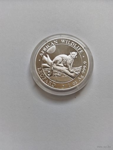 Сомали 2021 Леопард унцовка