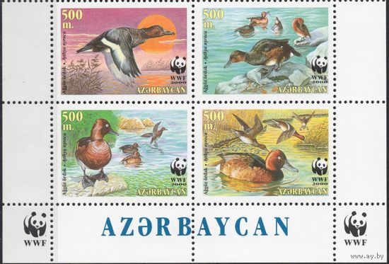 Азербайджан 2000. Фауна WWF. Птицы, утки. Нижняя сцепка 4 марки (130)