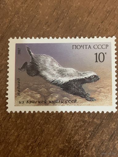 СССР 1987. Медоед. Марка из серии