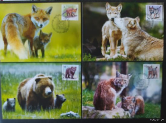 Беларусь 2020 КМ зверята.