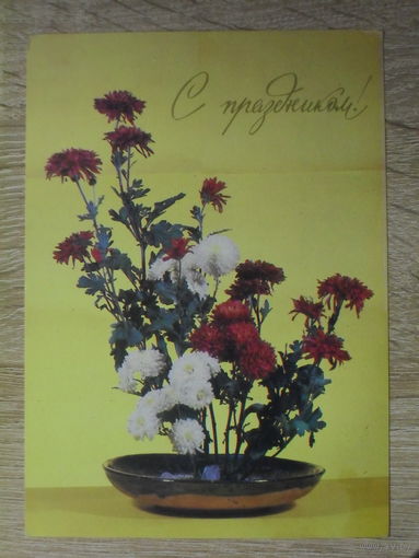 ПОДПИСАННАЯ ОТКРЫТКА СССР. "С ПРАЗДНИКОМ!" ФОТО. Г. РОВИНСКОГО. 1981 год.