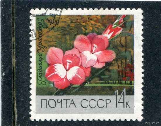 СССР 1969.. Ботанический сад. Гладиолус