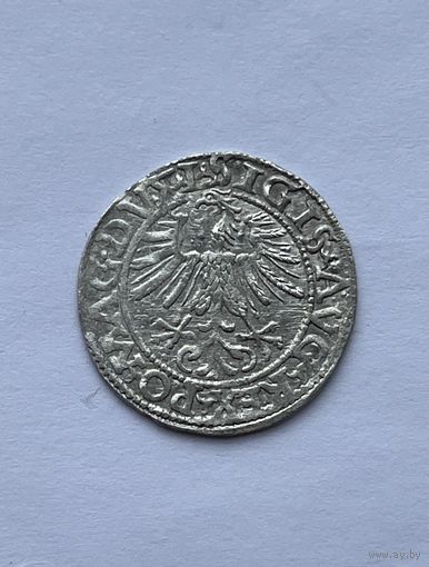 Полугрош 1562