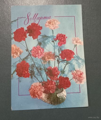 Открытка "С 8 марта" фото Б.Баранникова  1977г. подписанная