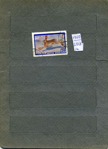 СССР, 1960, 8-ые ЗИМН ОЛИМП ИГРЫ,      серия 5м, гашен