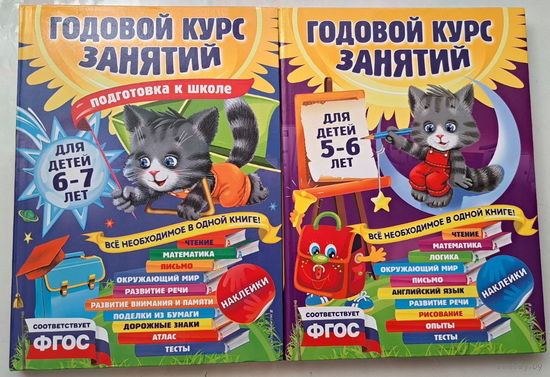 Годовой курс занятий для детей 5-6лет, 6-7лет-2шт