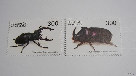 Жук. Олень. Жук носорог. 2м. 2001