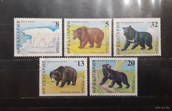Болгария. 1988 год. Фауна. Медведи (861)