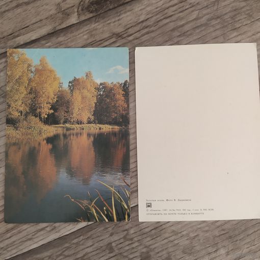 Открытка 1987 г. Золотая осень Фото В Дацкевича, Чистая