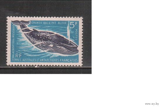 Французские Антарктические Территории-1966(Мих.36) , * , Морская Фауна, Киты(одиночка)