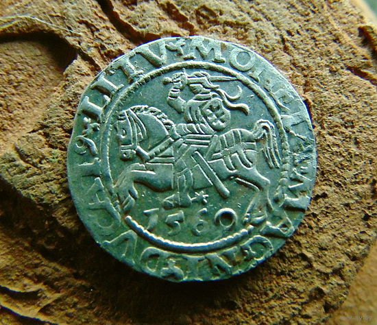 Полугрош 1560