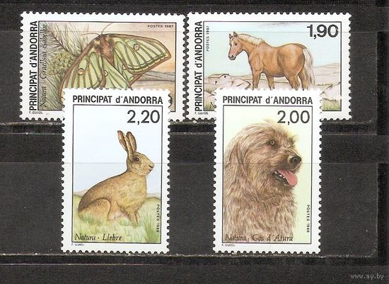 ФФ1 Андорра 1987-88 Фауна