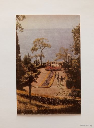 Открытка Сочи фото М.Альперта. 1968 год. Чистая