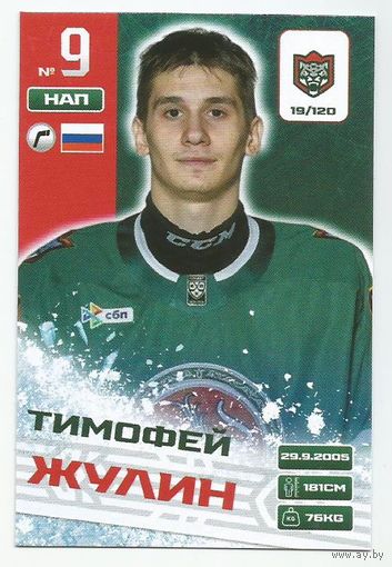 Тимофей Жулин / Коллекция "Ак Барс Казань 2025-206"