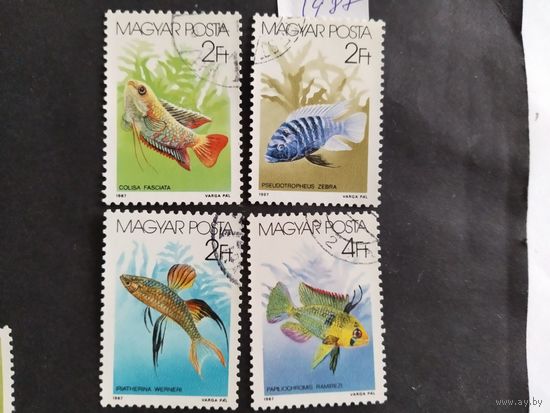 Венгрия  1987 4 м акв.рыбы