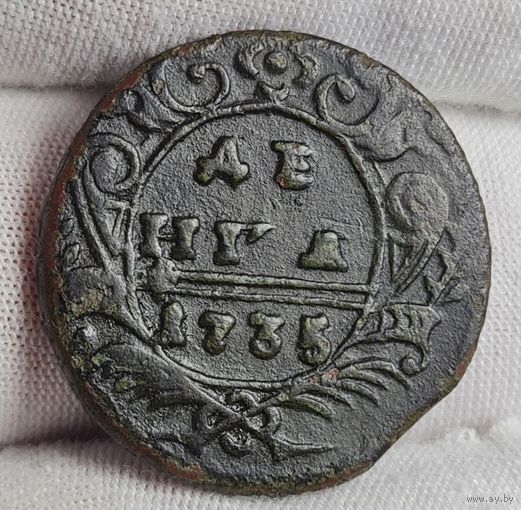 Денга 1735 года, ХОРОШАЯ!