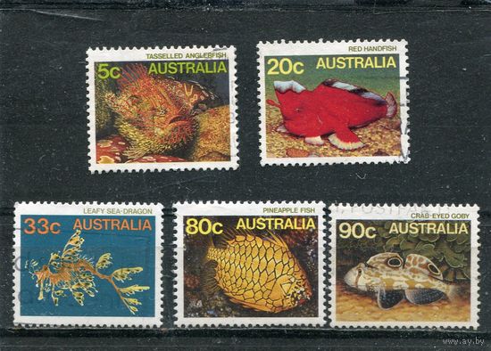 Австралия. Морская фауна