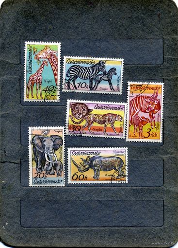 ЧЕХОСЛОВАКИЯ, 1976, АФРИКАНСКАЯ ФАУНА, серия   6м   гашеная