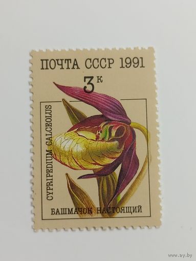 1991 СССР. Орхидеи. Башмачок настоящий
