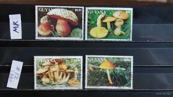 ГАЙАНА 1993г. Гаш.