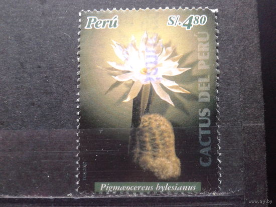 Перу, 2004. Кактус, К 14:13 1/2, Mi-6,50 евро гаш.