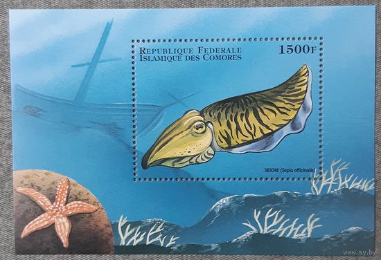 1998 Каракатица обыкновенная Федеральная Исламская Республика Коморские острова
