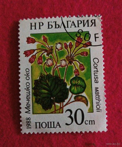 Болгария, 1988, цветы