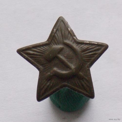 Звёздочка полевая