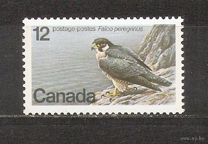 ФФ2 Канада 1978 Сокол